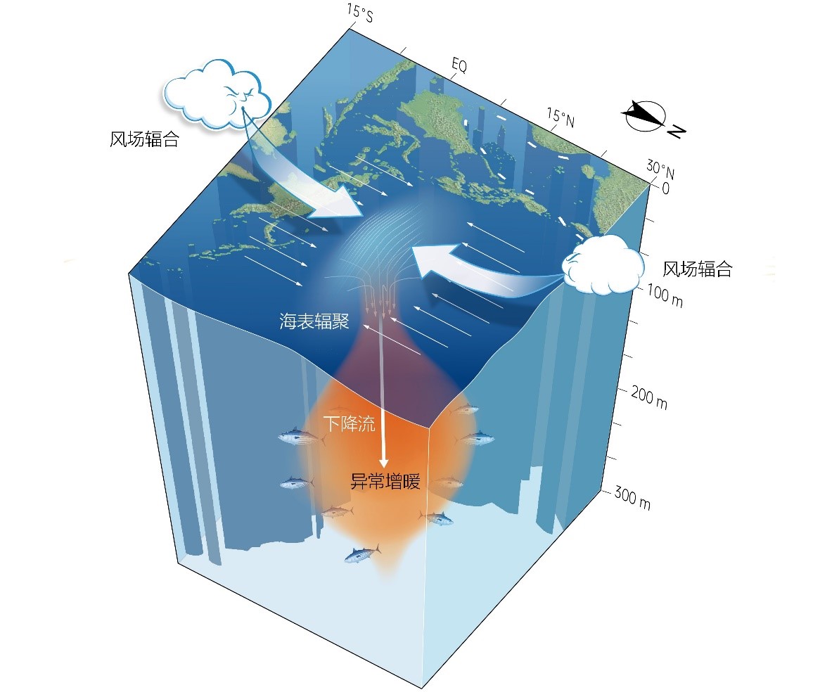 全球热浪席卷，有地区高达51.3摄氏度！你会感到害怕吗？