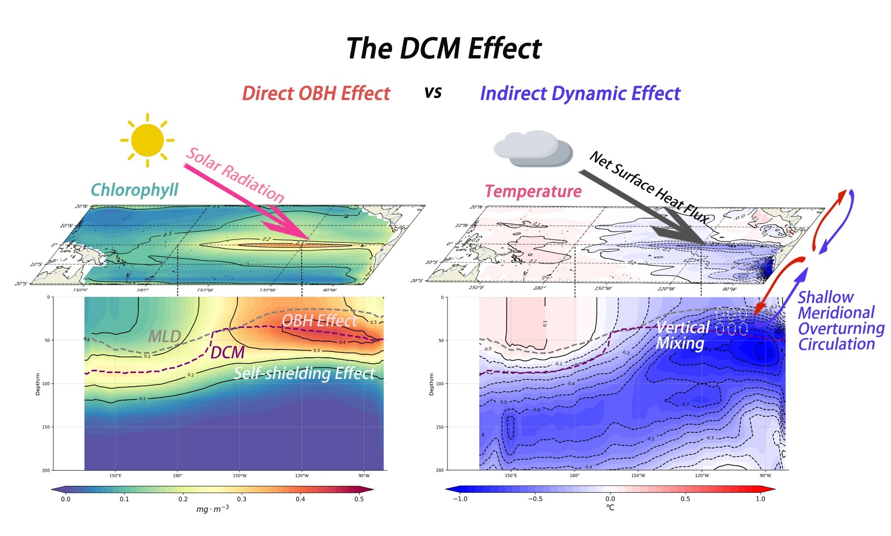 【环保百词百科】Global Water Cycle - 环保网